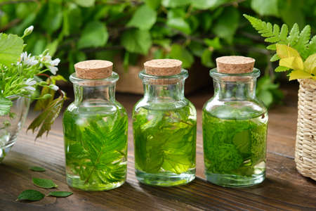 Bottles of essential oil or infusion of medicinal herbs, medicinal healing plants. Alternative herbal medicine.の写真素材