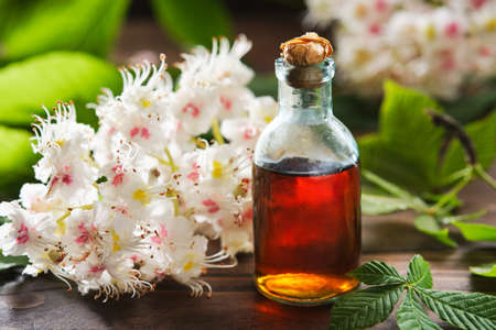 Bottle of infusion or tincture of blossom and leaves of chestnuts tree. Blossoming horse chestnut twigs and green spring leaves. Alternative herbal medicine.の写真素材
