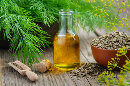 Bottle of dill seeds oil, bunch of fresh green dill and bowl of dried fennel seeds on wooden board. alternative herbal medicine. Useful seasoning for cooking.の写真素材
