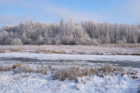 Beautiful snowy winter landscape of forest river Snowy winter landscapeの写真素材