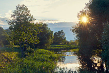 Beautiful landscape of the river at sunset in summer.の写真素材