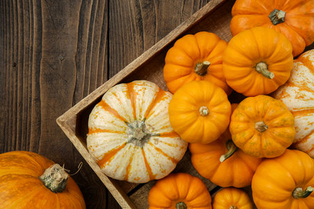 Several small pumpkins in a wooden crate on a kitchen table. Top view, flat lay.の写真素材