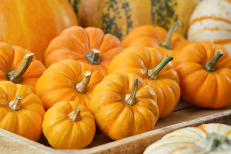 Several small pumpkins in a wooden crate on a wooden board.の写真素材