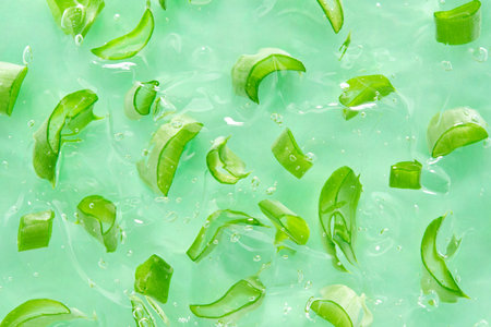 Aloe gel background with aloe slices. Cut slices of aloe in transparent cosmetic aloe gel. flat lay. top view.の写真素材