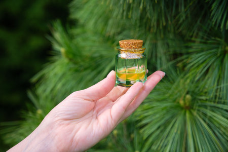 Pine essential oil bottle. Woman holds a glass bottle of pine essential oil in her hand. Branches with pine needles on background.の写真素材