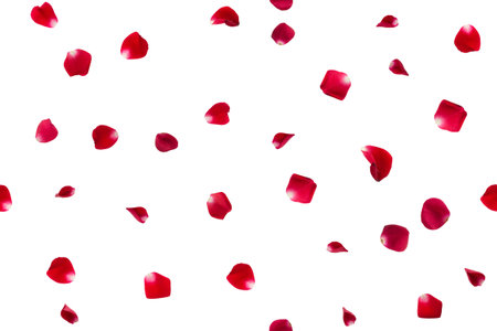 eamless pattern of red rose petals, isolated on white background. Flat lay, top view. Falling red rose petals.の写真素材