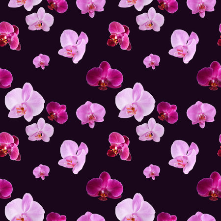 Beautiful seamless pattern of orchid flowers. Orchids pattern for design on dark purple background.の写真素材