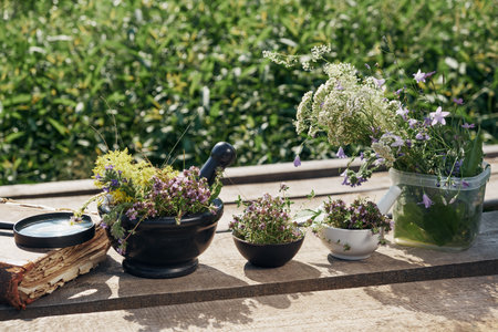 Mortars of thyme medicinal herbs, old book and loupe, bunch of healing plants on a wooden board outdoors. Alternative herbal medicine.の写真素材