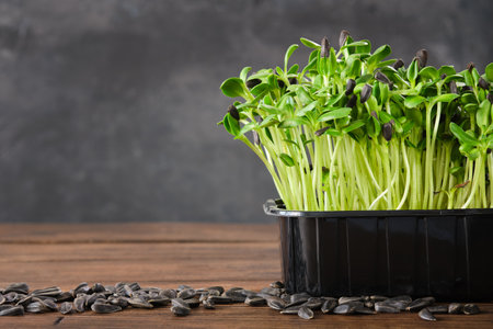 Sunflower seeds sprouts for a healthy diet nutrition. Microgreens. Green growing seedlings.の写真素材