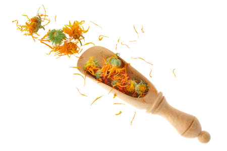 Wooden scoop of dried calendula flowers, isolated. Petals of calendula flowers. Top view. Flat lay.の写真素材