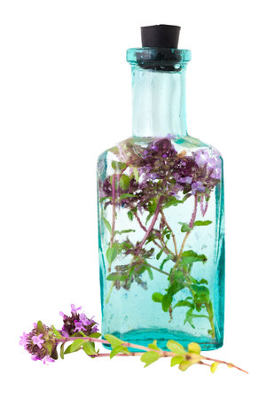 Vintage bottle of thyme oil or infusion and  thymus serpyllum flower, isolated. Selective focus. Alternative herbal medicine.の写真素材