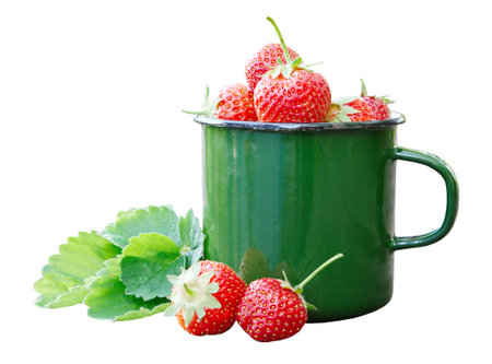 Enameled mug of strawberries and berries isolated.の写真素材