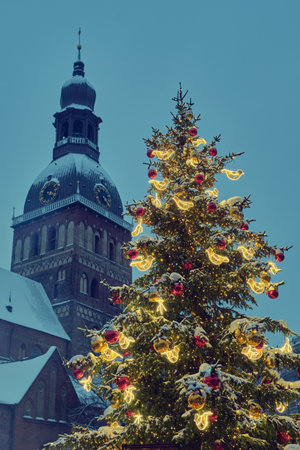 Decorated Christmas tree at the Dome Square in old Riga city, Riga Cathedral tower on background. Riga, Latvia.の写真素材