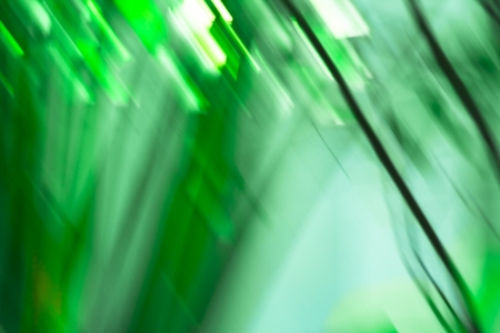 Nature green abstract backgroundの写真素材