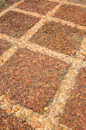 the strong brown stone way inside the ancient temple in Ayutthaya,Thailand の写真素材