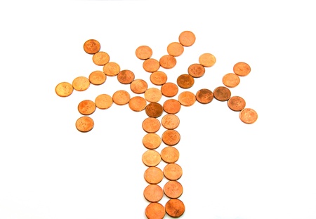 tree coins compare as the glowing of financial or bank or saveing money の写真素材