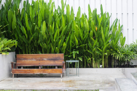 wooden seat at outsite home with green nature, liveable concept.の写真素材