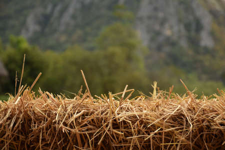 empty Stack of Hay bale over farm and mountain background (for product display)の写真素材