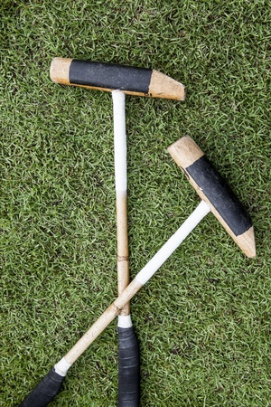 Polo Sticksの写真素材