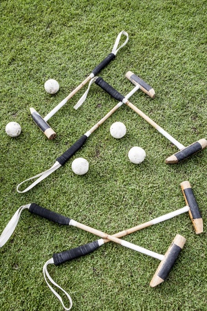 Polo Sticks