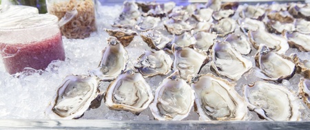 Raw oyster  buffetの写真素材