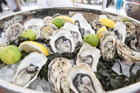 Lots of oystersの写真素材