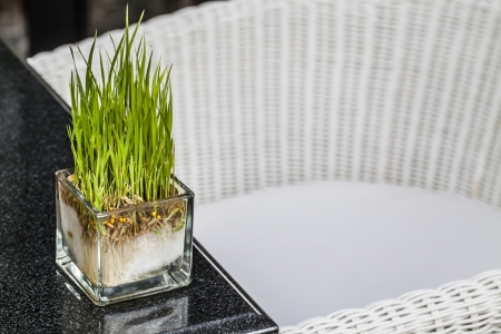 Table flowersの写真素材