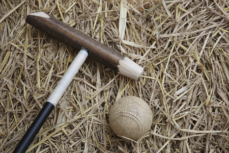 Polo Sticksの写真素材