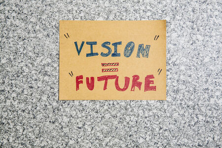 vision