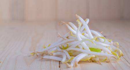 Bean Sproutsの写真素材