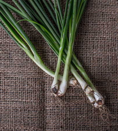 Green onionの写真素材