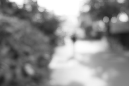 outdoor blurの写真素材