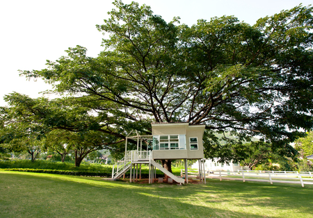 little home little familyのeditorial素材