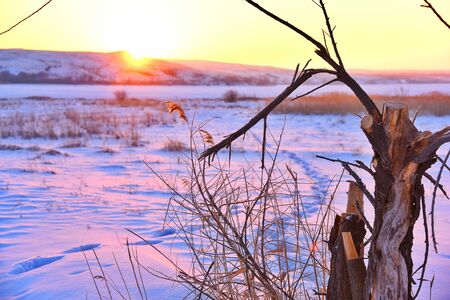Beautiful sunriseの写真素材
