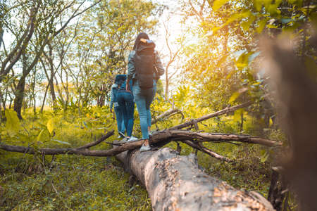 Group of women walking enjoy travel trekking in vacation time for go to camping.の写真素材