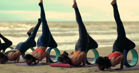Group females yoga practice in class on mat stretching relaxation exercise with pose fitness sport...