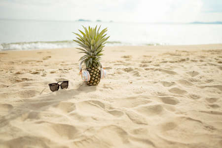 Pineapples in stylish sunglasses on sand travel tropical weekend in holidays summer season resting healthy concept.の写真素材