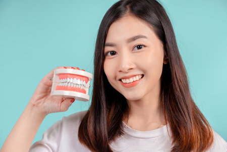 Dental of asian woman with tooth sample and white teeth increase confidence for healthy on blue background isolated studio shot, Happiness teenager smiling facial expression.の写真素材