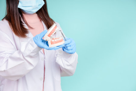 Asian dentists are teaching them how to care for oral and dental care, including after correct orthodontic treatment on blue background isolated studio shot.の写真素材