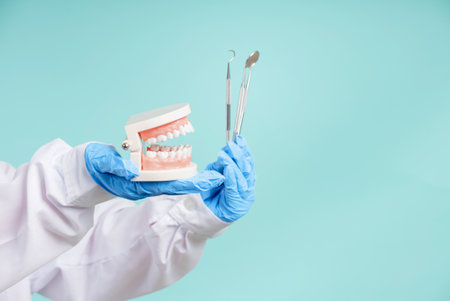Asian dentists are teaching them how to care for oral and dental care, including after correct orthodontic treatment on blue background isolated studio shot.の写真素材