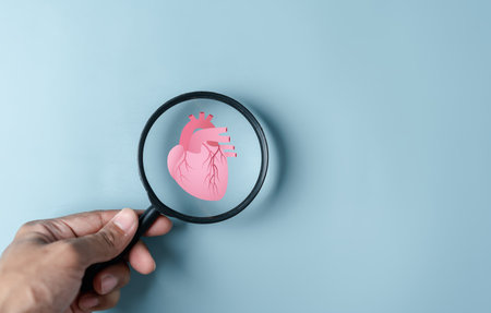 Magnifier focus to heart icon, cardiogram, organ donation, world heart day, world health day, health care concept.の写真素材