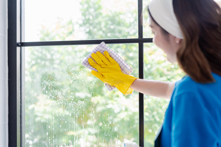 Housework or house keeping service female cleaning dust in toilet, cleaning agency small business....