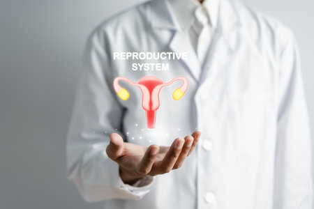 Doctor in a white coat holding uterus reproductive system , woman health, PCOS, ovary gynecologic treatment, Healthy feminine concept.の写真素材