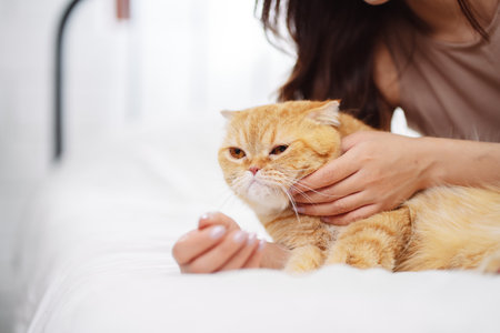 Happy Asian woman owner cute cat playful in a home. Friendship of pet and human people lifestyle.の写真素材