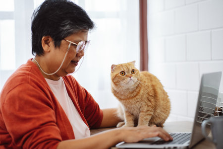 Happy asian senior mature woman working with laptop computer with cute cat.の写真素材
