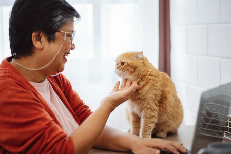 Happy asian senior mature woman working with laptop computer with cute cat.の写真素材