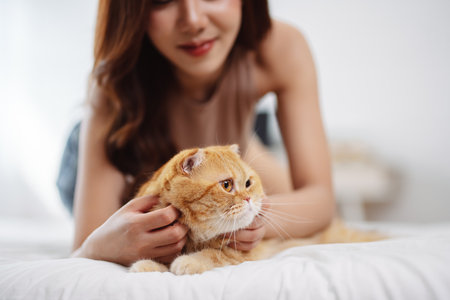 Happy Asian woman owner cute cat playful in a home. Friendship of pet and human people lifestyle.の写真素材