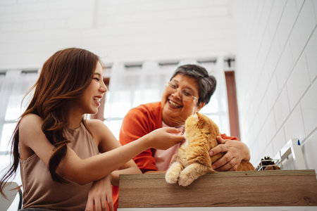 Happy Asian woman and senior mother playing with cute cat playful in a home. Friendship of pet and human people lifestyle.の写真素材