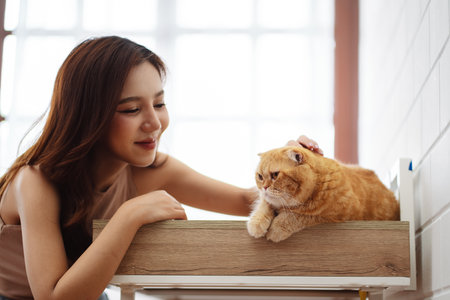 Happy Asian woman owner cute cat playful in a home. Friendship of pet and human people lifestyle.の写真素材