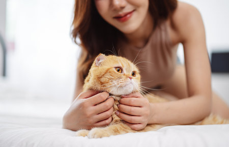 Happy Asian woman owner cute cat playful in a home. Friendship of pet and human people lifestyle.の写真素材